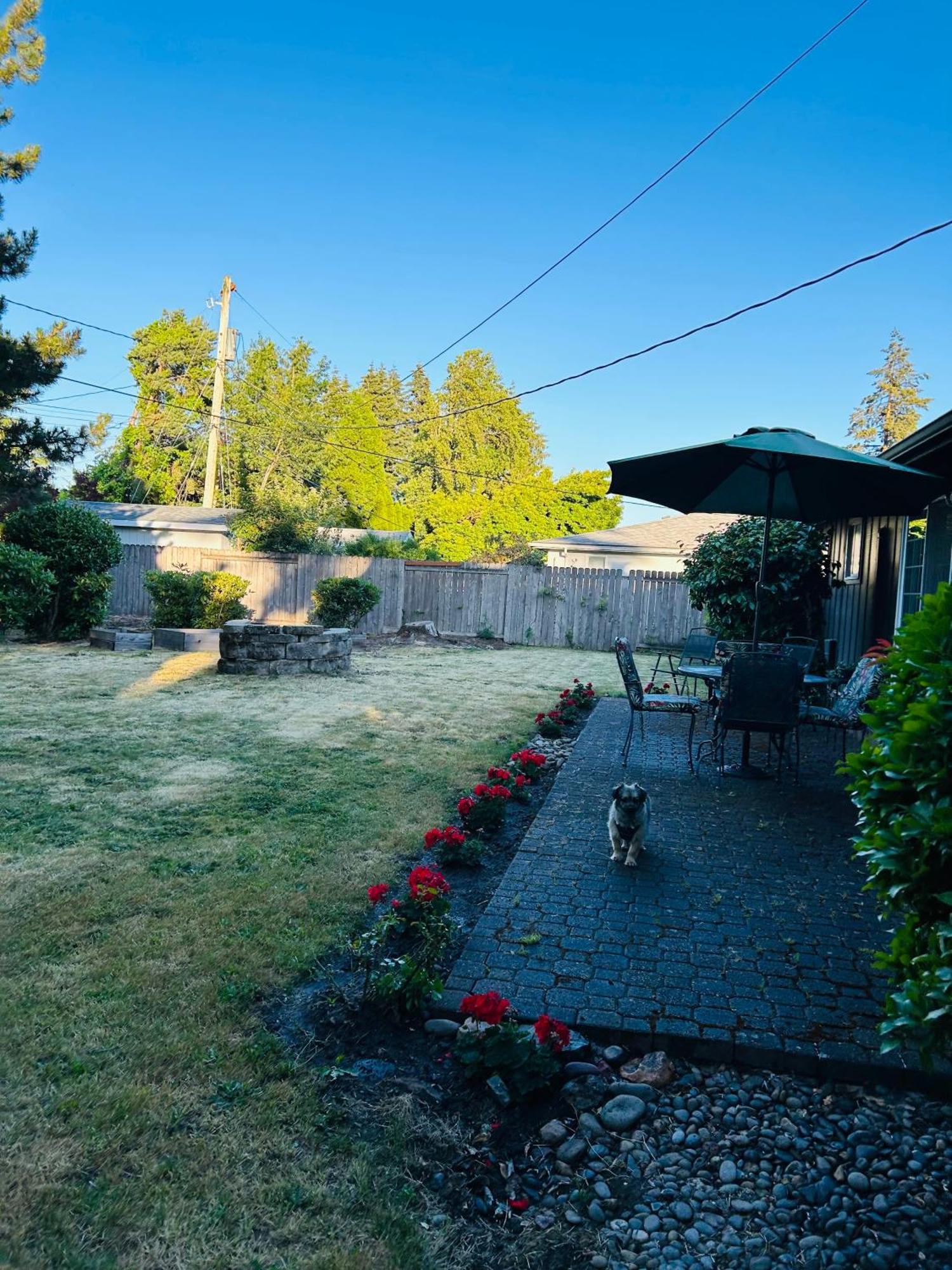 Emerald City 3 Bedroom 1 Bath Home 尤金 外观 照片